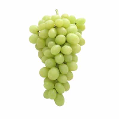 MENINDEE SEEDLESS 1 MENINDEE SEEDLESS 1